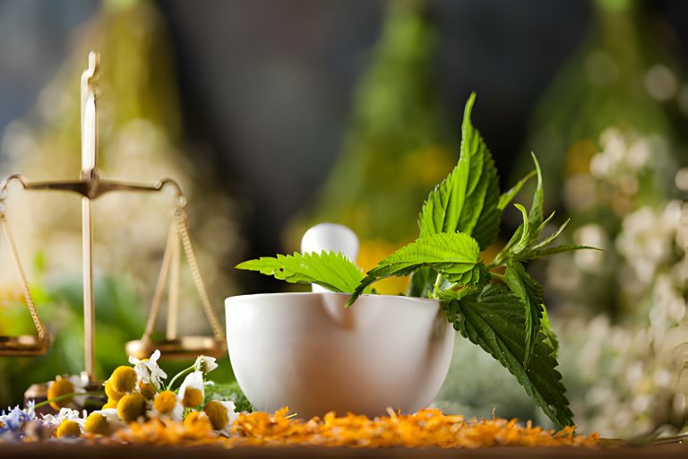 Mengenal Manfaat Badan Usaha Bagi Pengembangan Bisnis Herbal