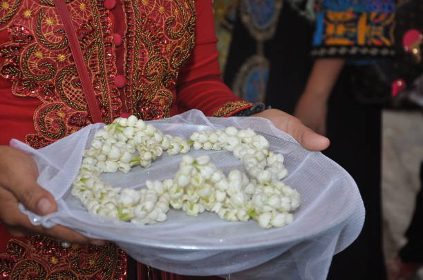 Memahami Pesona Dan Filosofi Tinggi Bunga Melati Pengantin